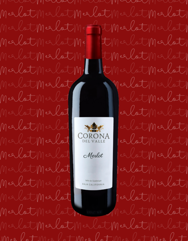 Merlot 2019