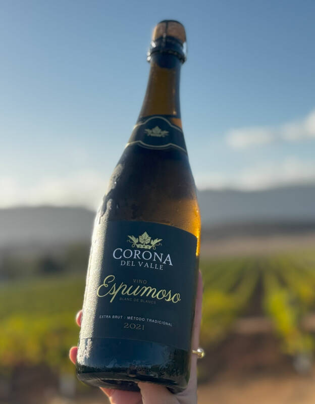 Espumoso 2021